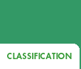 Classification - IHS and WHO code - Headache Classification Committee - migraine stages