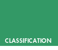 Classification - IHS and WHO code - Headache Classification Committee - migraine stages