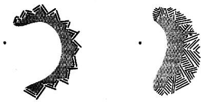 Two fortification pattern