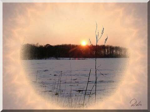 Delia Malchert, Winter