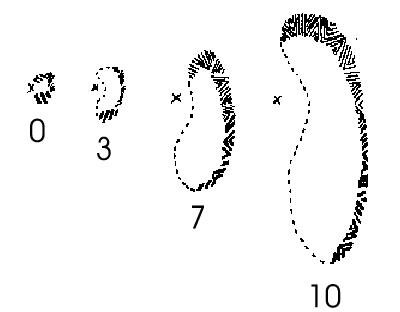 Lashley, Fortification Spectra